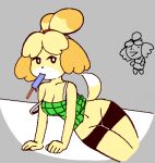  animal_crossing bike_shorts bottomwear box_f boxf breasts canid canine canis cleavage clothed clothing domestic_dog female food isabelle_(animal_crossing) low_res mammal nintendo popsicle shorts simple_background video_games 