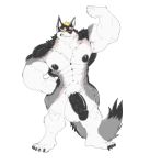  2019 5_fingers 5_toes anthro balls bfw big_balls big_muscles big_penis black_body black_fur black_nipples black_nose blonde_hair canid canine canis cursedmarked fingers flaccid flexing fur grey_body grey_fur hair hi_res huge_balls huge_muscles huge_penis looking_at_viewer male mammal multitone_fur muscular muscular_male nipples penis plantigrade simple_background solo standing toes vein veiny_penis white_background white_body white_fur wolf yellow_sclera 