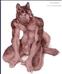  2019 animal_genitalia animal_penis anthro balls biped blotch canid canine canine_penis canis claws detailed domestic_dog half-erect hi_res hindpaw husky kneeling looking_at_viewer male mammal maxrange69 monochrome nordic_sled_dog paws penis sheath spitz 