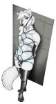  2019 accelo anthro arctic_fox black_nose bound bulge canid canine digital_media_(artwork) fox fur hair hi_res male mammal navel open_mouth solo teeth tongue tongue_out white_body white_fur white_hair 