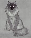  2019 ambiguous_gender digital_media_(artwork) felid feline feral fur grey_body grey_fur mammal sitting solo tamberella white_eyes 