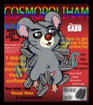  balls cover cricetid english_text hamster hamtaro_(series) looking_at_viewer magazine magazine_cover male mammal navel nivy_(artist) open_mouth penis rodent sabu solo sunflower_seed text 