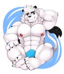  2017 4_fingers 4_toes anthro big_muscles black_nose bulge eyebrows felid fingers fur leo_(saitama_seibu_lions) lion male mammal mascot muscular muscular_male nipples nippon_professional_baseball pantherine pink_nipples saitama_seibu_lions schwarzfox sitting solo thick_eyebrows toes white_body white_fur 