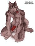  2019 animal_genitalia animal_penis anthro balls biped blotch canid canine canine_penis canis claws detailed domestic_dog erection hi_res hindpaw husky kneeling knot looking_at_viewer male mammal maxrange69 nordic_sled_dog paws penis solo spitz 