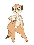  baikoko_island_(tansau) barefoot big_head bikini breasts clothing female herpestid lingerie looking_at_viewer mammal meerkat short short_stack simple_background swimwear tansau thick_thighs wide_hips 