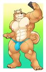  2019 4_fingers 4_toes anthro big_bulge big_muscles black_nose brown_body brown_fur bulge canid canine canis cellphone clothing domestic_dog eyebrows fingers fur huge_muscles male mammal multicolored_body multicolored_fur muscular muscular_male nipples penis penis_base phone pink_nipples pink_penis plantigrade schwarzfox selfie shiba_inu simple_background solo spitz standing thick_eyebrows thong toes two_tone_body two_tone_fur underwear 