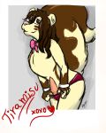  absurd_res anthro balls bow brown_hair clothing fur girly hair hi_res long_hair looking_at_viewer male mammal nude penis photo rodent signed simple_background sketch solo tiramis&uacute; underwear wolferno 