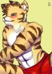  absurd_res blush felid feline hi_res male mammal muscular otorigin pantherine solo tiger 