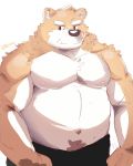  2015 anthro belly bhtoss blush canid canine canis domestic_dog male mammal moobs nipples overweight overweight_male simple_background solo white_background 