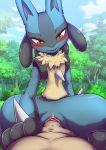  2019 anthro cowgirl_(disambiguation) erection female first_person_view human human_on_anthro interspecies kicktyan looking_at_viewer lucario male male/female mammal nintendo nude penetration penis pok&eacute;mon pok&eacute;mon_(species) pok&eacute;philia pussy vaginal vaginal_penetration video_games 