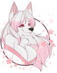  anthro asian_clothing breasts canid canine canis cherry_blossom clothed clothing east_asian_clothing female fur hair japanese_clothing kimono long_hair mammal plant sakuradlyall samagram93 simple_background solo white_body white_fur wolf 