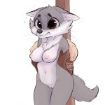  alpha_channel anthro blush bound breasts canid canine canis crossgender female fur grey_body grey_fur jameskii mammal nipples nude psakorn_tnoi pussy simple_background solo stripped transparent_background wolf 