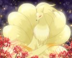  animal flower fox full_body gen_1_pokemon looking_at_viewer maiko_(mimi) multiple_tails night night_sky ninetales no_humans pokemon red_eyes red_flower sitting sky solo spider_lily tail 