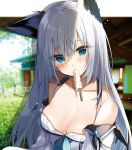  1girl absurdres animal_ear_fluff animal_ears azur_lane bangs bare_shoulders blue_eyes blurry blurry_background collarbone commentary_request day depth_of_field eyebrows_visible_through_hair food fox_ears highres kawakaze_(azur_lane) long_hair looking_at_viewer melting mouth_hold natsuki_(ukiwakudasai) off_shoulder open_clothes outdoors popsicle silver_hair solo straight_hair sweat upper_body very_long_hair 