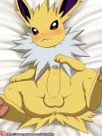  2017 anus balls blush digital_drawing_(artwork) digital_media_(artwork) eeveelution erection feral foreskin humanoid_penis jolteon male nintendo partially_retracted_foreskin penis pok&eacute;mon pok&eacute;mon_(species) quadruped solo spread_legs spreading uncut video_games winick-lim 