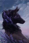  2019 black_hair black_nose canid canine day demortum detailed_background hair mammal outside sky 