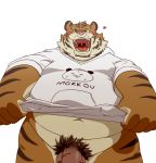  &lt;3 2017 anthro balls belly blush clothing felid hoodie humanoid_hands male mammal navel overweight overweight_male pantherine penis pink_nose pubes simple_background solo tiger topwear wdh3905 white_background 
