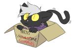  :3 alpha_channel ambiguous_gender black_body black_fur cardboard_box cheese_cake cheesy_(cheese_cake) clothing domestic_cat english_text felid feline felis fur hair hoodie mammal red_eyes simple_background slit_pupils text topwear transparent_background white_hair yellow_sclera 