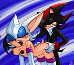  animals blue_eyes dark_nipples doggystyle fang furry nancher red_eyes rouge_the_bat sex shadow_the_hedgehog sonic_team sonic_the_hedgehog 