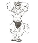  2019 4_toes anthro armpit_hair big_muscles black_and_white body_hair canid canine canis chest_hair clothed clothing eyewear flexing glasses hi_res huge_bulge huge_muscles looking_at_viewer male mammal monochrome muscular muscular_male nightterror nipples pubes senryo simple_background smile solo standing toes topless underwear white_background wolf 