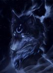  2019 ambiguous_gender black_body black_fur canid canine canis cosmic_background demortum detailed_background digital_media_(artwork) feral fur mammal markings night outside sky solo star starry_sky wolf 