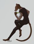  2019 anthro brown_body brown_fur clothed clothing digital_media_(artwork) euplerid felix_(kevintheradioguy) fossa fur hi_res male mammal melnz simple_background solo 
