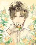  1boy bangs brown_hair buttons collar collared_shirt covered_mouth cuffs flower gloves hand_to_own_mouth heshikiri_hasebe heterochromia holding holding_flower kasa77322 long_sleeves looking_at_viewer male_focus parted_bangs shirt short_hair silver_eyes simple_background sleeve_cuffs solo touken_ranbu upper_body white_gloves white_shirt yellow_background yellow_eyes yellow_flower 