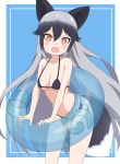  1girl :d animal_ears bikini black_bikini black_hair blue_background border breasts bright_pupils commentary fox_ears fox_tail gradient_hair holding holding_innertube ilyfon133 innertube kemono_friends leaning_forward long_hair medium_breasts multicolored_hair open_mouth outside_border silver_fox_(kemono_friends) silver_hair smile solo swimsuit tail very_long_hair white_border white_pupils 