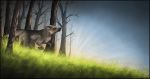  2009 ambiguous_gender brown_body brown_fur canid canine canis day detailed_background digital_media_(artwork) feral forest fur grass kanizo mammal outside solo tree wolf 