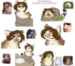  2019 anthro clothed clothing digital_media_(artwork) domestic_cat dorian-bc felid feline felis female fur hair helia_peppercats_(wrinklynewt) hi_res looking_at_viewer mammal memes sweater topwear 