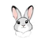  1:1 2017 cheek_tuft dipstick_ears disney facial_tuft feral feralized fur gokhan16 grey_body grey_fur headshot_portrait judy_hopps lagomorph leporid mammal multicolored_ears pink_nose portrait rabbit simple_background smile solo tuft whiskers white_background white_body white_fur zootopia 