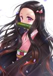  1girl ahoge asa_no_ha_(pattern) bamboo bit_gag black_hair checkered_obi cowboy_shot forehead gag gradient_hair hair_ribbon haori highres japanese_clothes kamado_nezuko kimetsu_no_yaiba kimono long_hair long_sleeves multicolored_hair obi owl_(polaris_ilu) petals pink_eyes pink_kimono red_hair ribbon sash signature simple_background solo two-tone_hair white_background wide_sleeves wind 