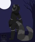  2019 absurd_res batartcave black_clothing black_hair clothing fur grey_body grey_fur grey_tail hair hi_res moon multicolored_tail rear_view sky solo species_request standing tree 