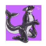  1:1 animate_inanimate bulge cetacean collar delphinoid featureless_crotch fin handles hi_res inflatable living_rubber male mammal marine null oceanic_dolphin orca plantigrade pool_toy qundium thick_tail toothed_whale valve video_games 