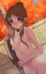  gishu naked nipples takamori_aiko the_idolm@ster the_idolm@ster_cinderella_girls wet 