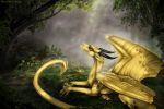  2019 ambiguous_gender black_horn claws day detailed_background digital_media_(artwork) dragon feral forest grass horn membrane_(anatomy) membranous_wings moss outside red_eyes scales scalie selianth solo tree western_dragon wings yellow_body yellow_scales 