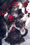  animal_ears gothic_lolita lolita_fashion nekomimi onineko 