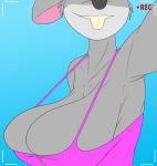  anthro big_breasts big_ears black_nose breasts buckteeth clothing creatiffy geronimo_stilton_(series) hi_res mammal murid murine outside rat recording rodent shirt simple_background tank_top teeth thea_stilton topwear 