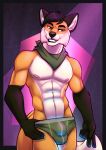  anthro bandanna bulge canid canine clothing digital_media_(artwork) fcsimba fox fur hair hi_res looking_at_viewer male mammal multi_tail nipples sabre_dacloud simple_background smile solo underwear 