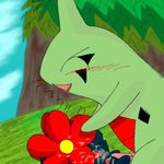  bellossom kura larvitar pokemon tagme 