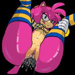  amy_rose seikoseeley sonic_team tagme 