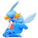  average mudkip pokemon tagme totodile 