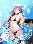  1girl bikini bird black_bikini blue_eyes breasts clownfish fate/grand_order fate_(series) fish kiki_(koikuchikinako) long_hair meltryllis meltryllis_(swimsuit_lancer)_(fate) micro_bikini navel penguin purple_hair reaching_out sea_anemone small_breasts smile swimsuit underwater 