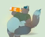  anthro belly belly_inflation beverage big_belly blue_body blue_fur bodily_fluids bottomwear canid canine clothed clothing double_chin drinking fox fur grey_body grey_fur holding_beverage holding_object male mammal midriff moobs navel obese obese_male open_pants orange_soda overweight overweight_male pants sitting smile soda solo sweat sweatdrop yolany 