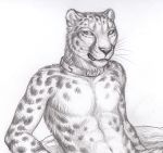  2019 anthro black_nose collar felid feline male mammal rukis solo traditional_media_(artwork) whiskers 