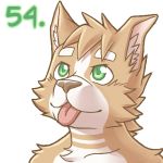  1:1 2009 anthro canid canine canis domestic_cat domestic_dog felid feline felis fifty4 green_eyes herding_dog hybrid low_res male mammal pastoral_dog simple_background solo tongue tongue_out welsh_corgi white_background 