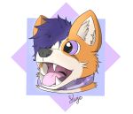  2019 absurd_res anthro canid canine canis collar curled_hair digital_media_(artwork) domestic_dog flower fluffy fur hair headshot herding_dog hi_res kujo mammal open_mouth pastoral_dog plant refection shaded simple_background smile teeth tongue welsh_corgi whiskers 