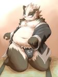 2012 anthro asian_clothing belly black_body black_fur clothing east_asian_clothing fundoshi fur giant_panda hi_res humanoid_hands japanese_clothing male mammal mitei moobs navel nipples overweight overweight_male robe solo underwear ursid white_body white_fur 