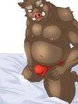  2011 anthro belly blush bulge clothing humanoid_hands luluangel male mammal moobs navel nipples overweight overweight_male solo suid suina sus_(pig) underwear wild_boar 