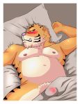  2011 anthro bed bedding belly blanket blush bulge felid furniture humanoid_hands luluangel lying male mammal moobs navel nipples overweight overweight_male pantherine pillow solo tiger 